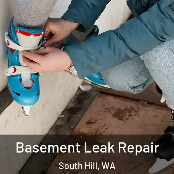  Basement Leak Repair South Hill, WA