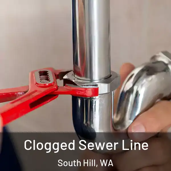  Clogged Sewer Line South Hill, WA