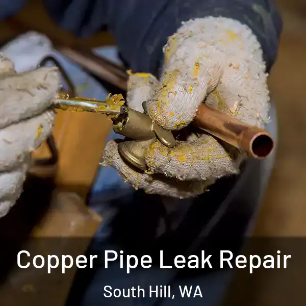  Copper Pipe Leak Repair South Hill, WA