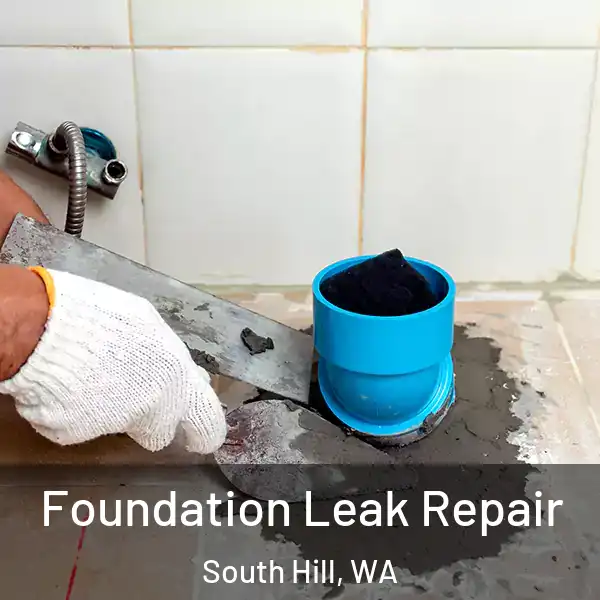  Foundation Leak Repair South Hill, WA