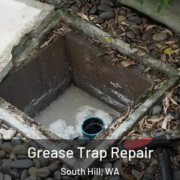  Grease Trap Repair South Hill, WA