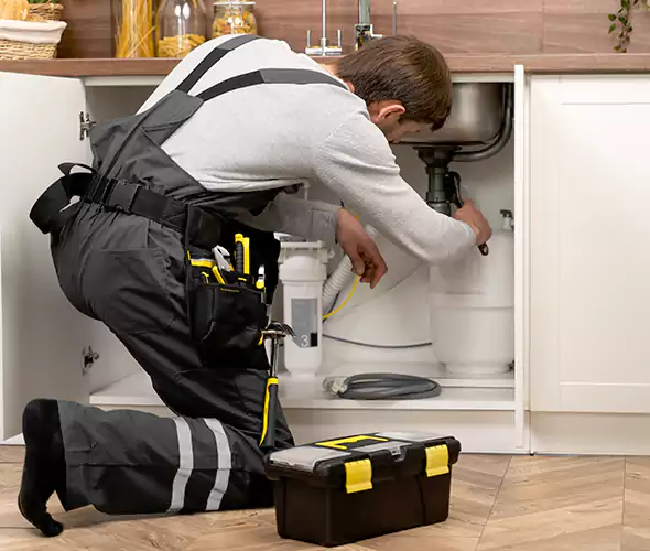 Certified Plumbers for Insinkerator Installation in South Hill