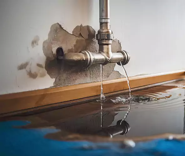 Professional Water Damage Restoration Experts in South Hill, WA — Fast, Reliable & Certified