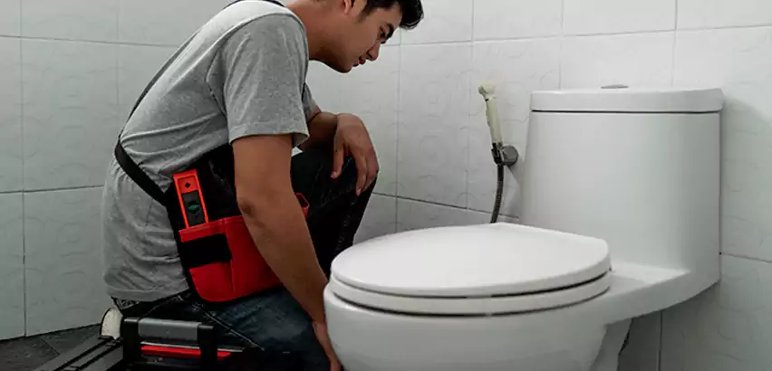 Toilet Repair in South Hill