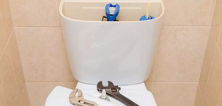 Upflush Toilet Installation in South Hill