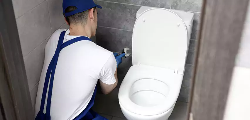 Toilet Lid Replacement in South Hill