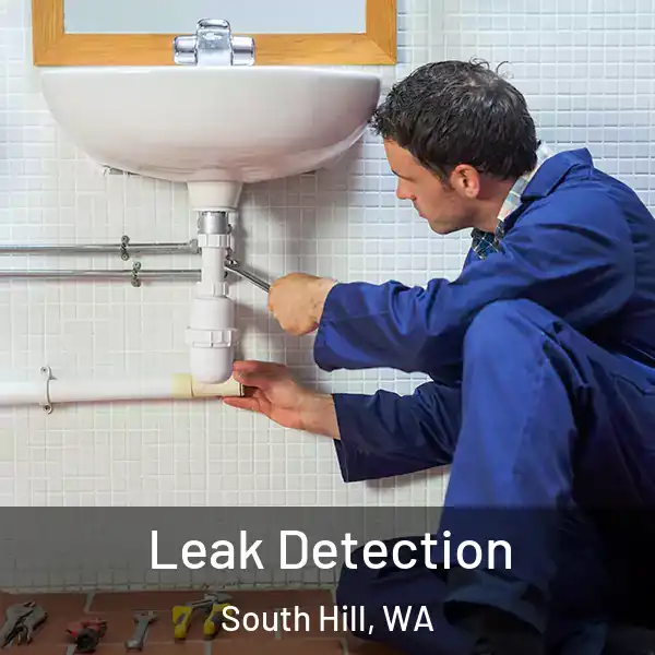  Leak Detection South Hill, WA