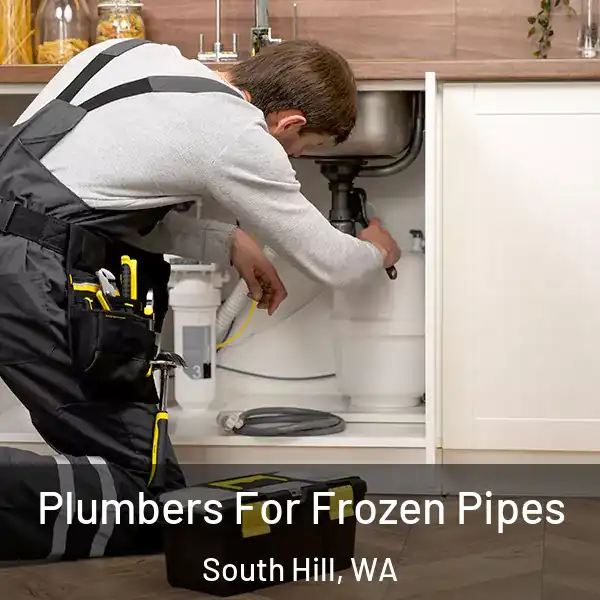  Plumbers For Frozen Pipes South Hill, WA