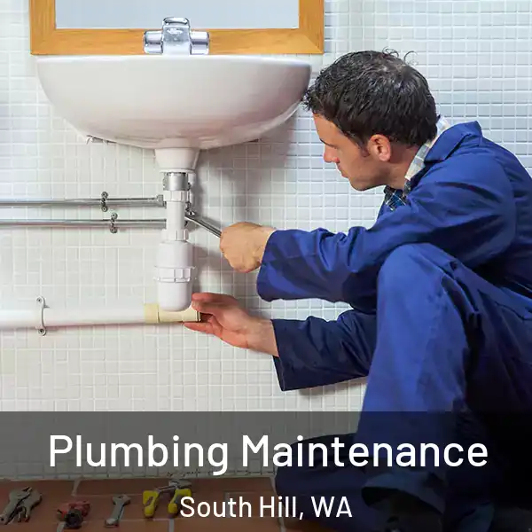  Plumbing Maintenance South Hill, WA