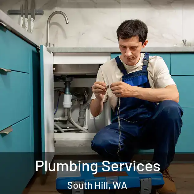 Plumbing Services South Hill, WA
