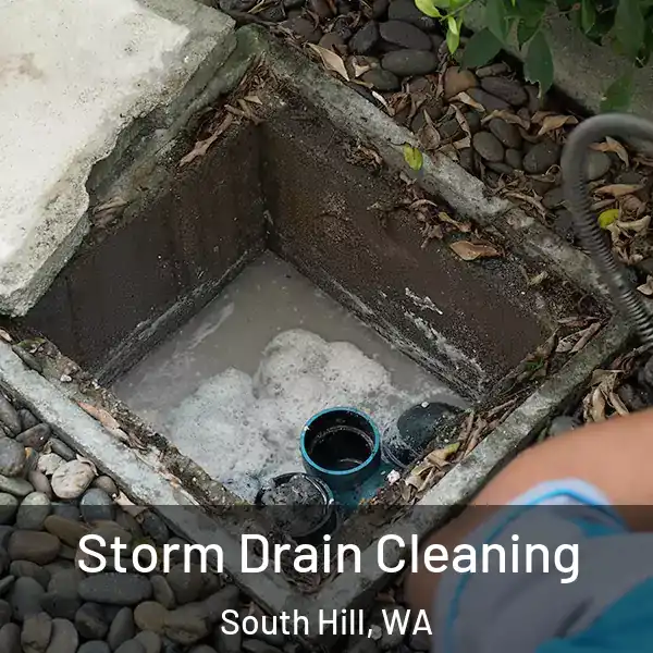  Storm Drain Cleaning South Hill, WA