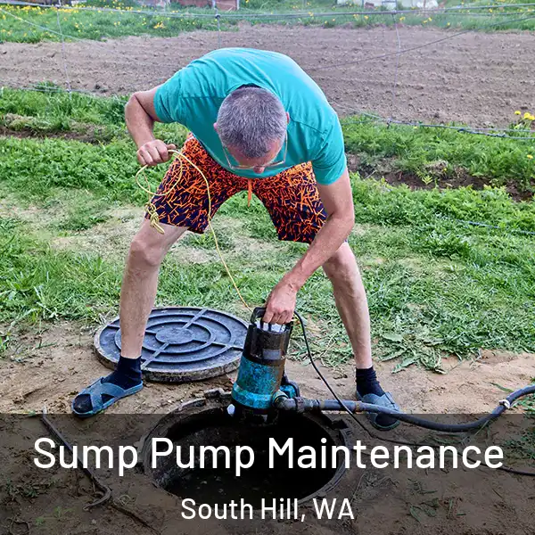  Sump Pump Maintenance South Hill, WA