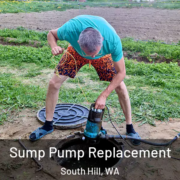  Sump Pump Replacement South Hill, WA