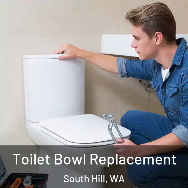  Toilet Bowl Replacement South Hill, WA