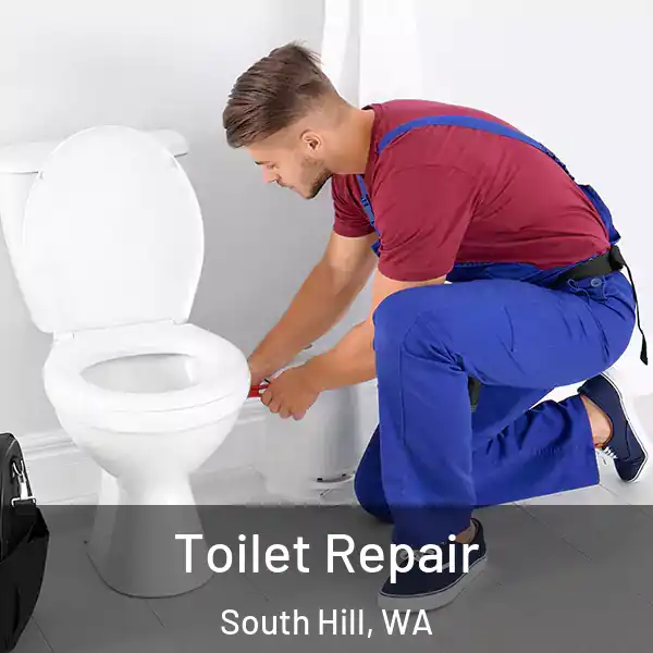  Toilet Repair South Hill, WA