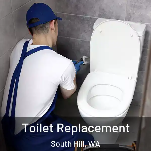  Toilet Replacement South Hill, WA