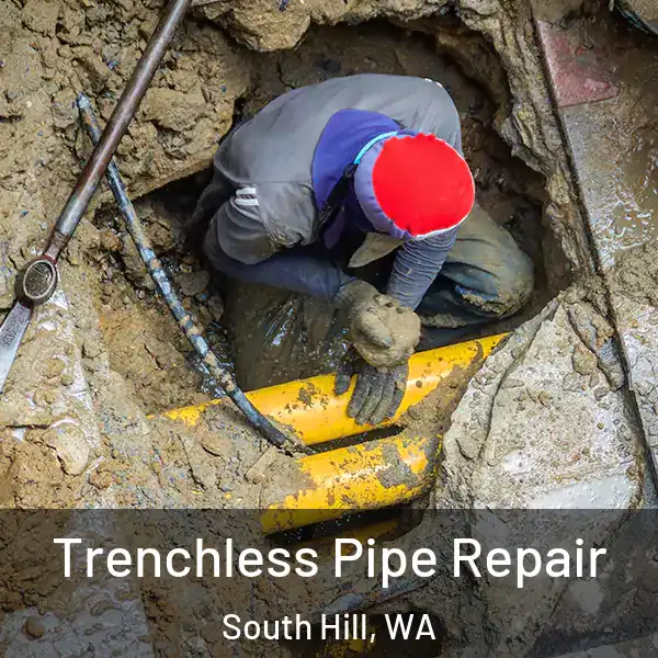 Trenchless Pipe Repair South Hill, WA