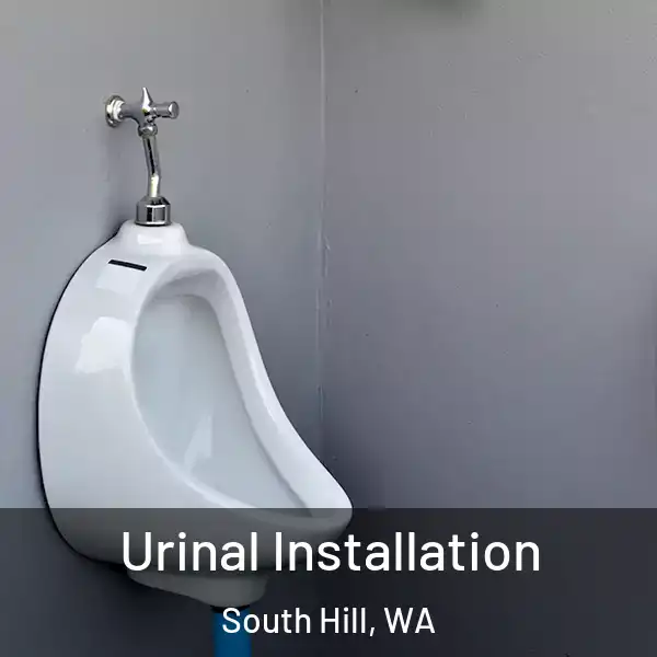  Urinal Installation South Hill, WA