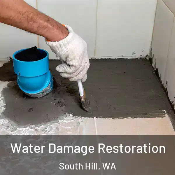  Water Damage Restoration South Hill, WA