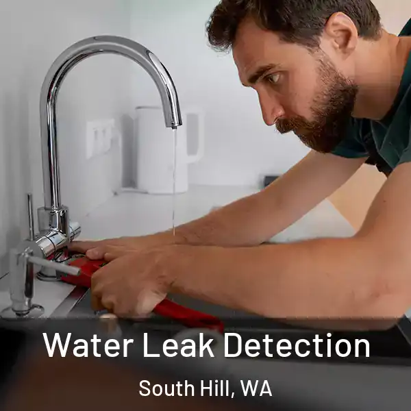  Water Leak Detection South Hill, WA