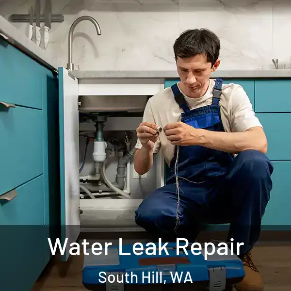  Water Leak Repair South Hill, WA