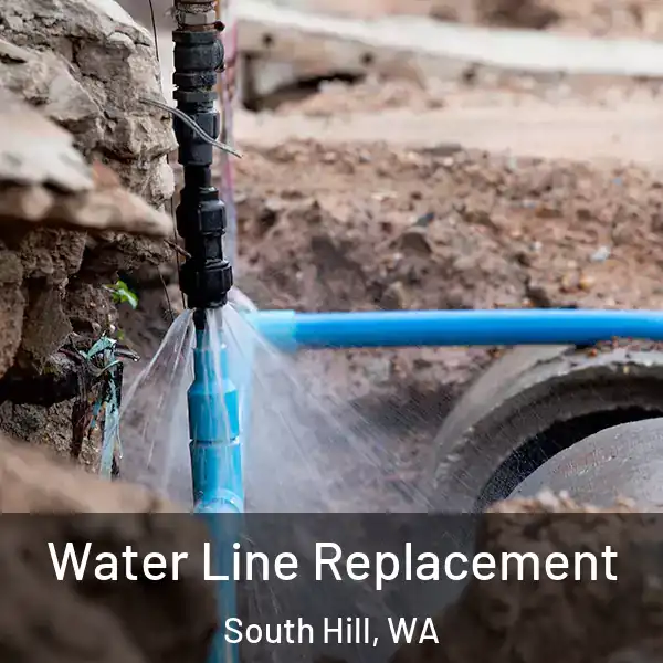  Water Line Replacement South Hill, WA