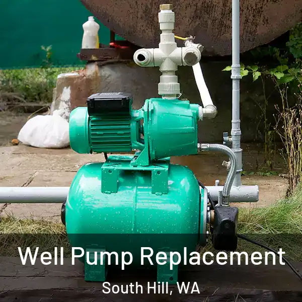  Well Pump Replacement South Hill, WA